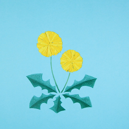 サクラクレパス04