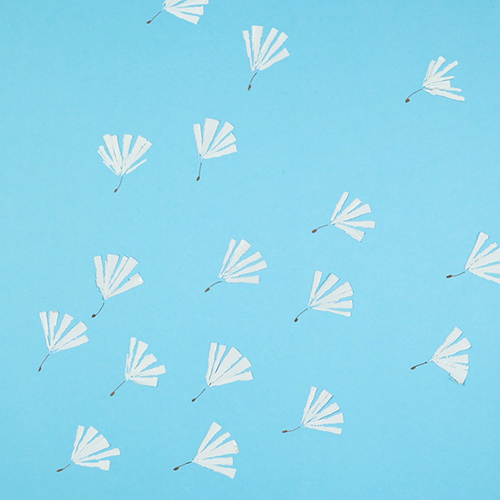 サクラクレパス08