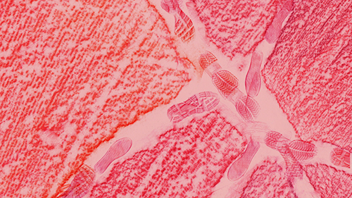 夜の道路工事07